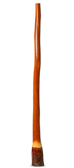 Ironbark Didgeridoo (IB173)